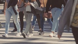 Busy City Crosswalk  Free Stock Footage 1080p HD [upl. by Kcirddot]