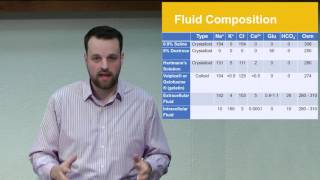 Fluid Balance Approaching the Patient With [upl. by Lamond]