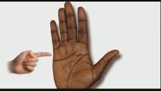 CHILDREN LINES Female Palm Reading Palmistry 100 [upl. by Esinel]