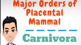 Biology The Order Carnivora of Placental Mammals [upl. by Maroney]