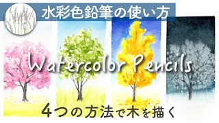 【水彩色鉛筆の使い方】4つの技法で春夏秋冬の木を描く方法 [upl. by Marko]