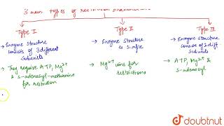 TYPES OF RESTRICTION ENDONUCLEASES [upl. by Cuyler]