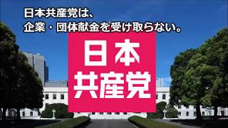 私が共産党に投票する理由 [upl. by Elvera]