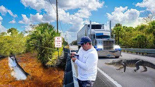 The MOST DANGEROUS Fishing Spot in Florida Tamiami Trail Bass Snook Tarpon Fishing [upl. by Ellissa]