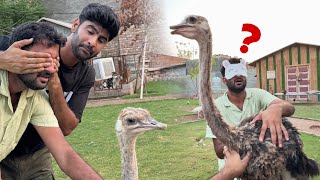 Guess The Surprise Animal Challenge With Turab 😍 [upl. by Pansy]