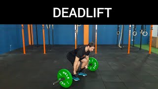 DEADLIFT LEVANTAMENTO TERRA  Execução correta  Coach Junior Mantoani [upl. by Einwahs]