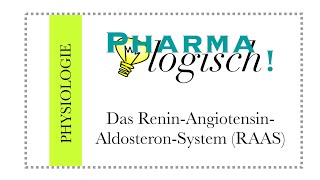 Das ReninAngiotensinAldosteronSystem RAAS [upl. by Ednalrym]