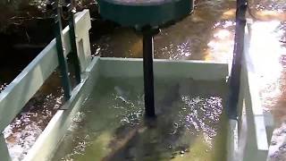 Vertical turbine hydro generator system Low rpm permanent magnet generator home made [upl. by Treve]