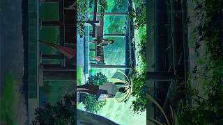 The beauty of the garden words ❤️  4K anime edit  animeedit anime amv animeedits [upl. by Neetsuj]