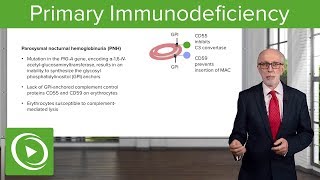 Primary Immunodeficiency – Immunology  Lecturio [upl. by Javler]