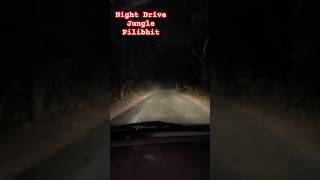 Night Drive Pilibhit Khatima shorts trending wildlife pilibhit night TusharKansal777 [upl. by Ariana]