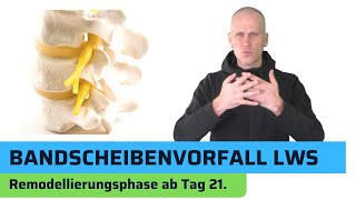 Bandscheibenvorfall LWS  Heilungsphasen Teil 3 von 3 [upl. by Lustig]