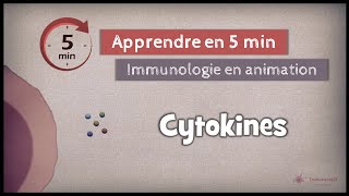 161 ◽ Introduction aux cytokines [upl. by Nylednarb]