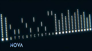 NOVA  Human Nature CRISPR Documentary [upl. by Ycart]