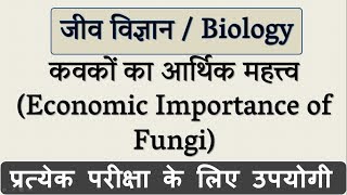 कवकों का आर्थिक महत्व  Economic Importance of Fungi in hindi  जीव विज्ञान Biology  Science Gk [upl. by Ameekahs]