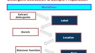 Detergent Extraction amp Sample Preparation Proteomics [upl. by Eicart]