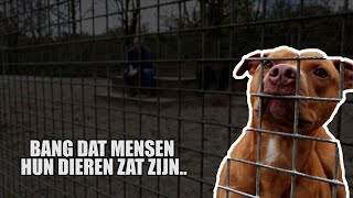 Haags Dierencentrum is bang voor stilte voor de storm [upl. by Yedorb]