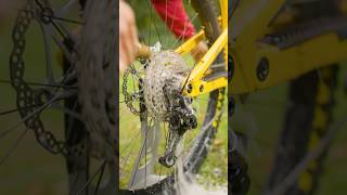 ASMR Bike Drivetrain Degreasing 🤤🔊 mtb asmr shorts [upl. by Aidroc797]