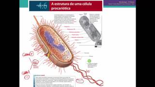 Microbiologia  4 1 Bactérias [upl. by Dena17]