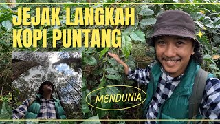 Review Kopi Gunung Puntang yang Mendunia [upl. by Asle]