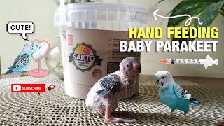 HOW TO HAND FEED BABY PARAKEET [upl. by Jonati]