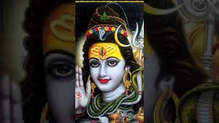 Om Namah Shivaya shiva songsShivaya songs shorts youtubeshorts song status sanatandharma [upl. by Mok484]