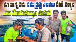 మా నాన్న నేను సముద్రపు ఎలకలు వేటకి వెళ్ళాం 🐠 ఎలా వేటాడుతున్నాం చుడండి ​⁠​⁠RajuFishingvlogs nanna [upl. by Maurizio521]