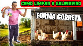 Como Limpar um Galinheiro corretoQuais produtos usar para Matar piolho em galinha [upl. by Horatius]