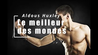 Huxley  le meilleur des mondes  chapitre6 partie13 vidéo16 Livre Audio [upl. by Anitnas]