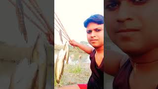 भोरे भोला saiya marela machhariya gadi short video🐳🐋🐬🐟🦈 [upl. by Ymmac]