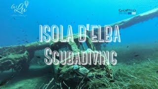 ELBA ISLAND SCUBA DIVING  Immersioni allIsola dElba  GOPRO HERO 7 BLACK [upl. by Sophie]