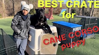 Which CRATE to choose for CANE CORSO puppy canecorso dogtraining dog [upl. by Ninaj]