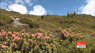 Zeitenblicke  Erste Ferienregion im Zillertal [upl. by Asilam]