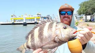 With RICE Fishing STRUCTURE in GALVESTON Texas city dike catch and cook [upl. by Norym367]