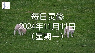 每日灵修2024年11月11日（星期一）路得记1章6至8节 English translation in description box [upl. by Child]