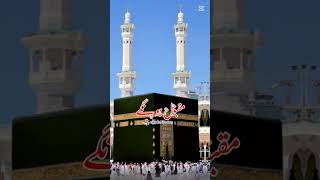 youtubeshorts makkah [upl. by Oirobil]