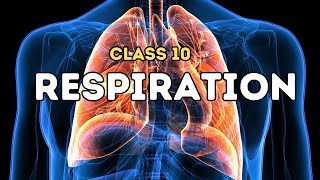 Respiration  10th Class Biology 2020 New Syllabus  Digital Teacher [upl. by Nudd]