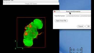 ImageJ 3D viewer demo part 2 [upl. by Aiekat872]