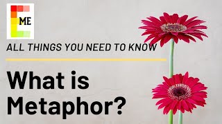 What is Metaphor All things you need to know [upl. by Matias]