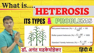 What is heterosis its types and Problem  Heterosis in Plant Breeding [upl. by Elrae]