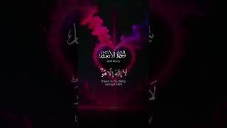 Telawat e Quran sheikh yasir al dossary [upl. by Vite626]