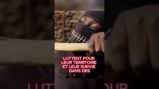 Les guerres de gang en Amérique  ms 13 vs BLOODS and CRIPS pourtoi shortvideo shorts [upl. by Prader891]