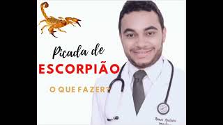 Picada de Escorpião o que fazer [upl. by Neelram242]