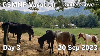 GSMNP  Cades Cove  Day 3  20 Sep 2023 [upl. by Katushka]