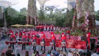 SYF Celebrations 2014  Bowen Secondary School Display Band Snippet [upl. by Larochelle]