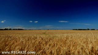 60minutes2relax  Golden Wheat Field [upl. by Laurentium]