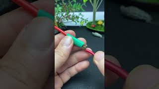 Ultimate Guide to Secure Electrical Wire Connections shorts diy [upl. by Yrogiarc834]