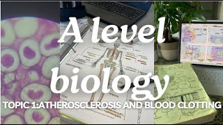 A level biology edexcel A SNAB Topic 1 Atherosclerosis and Blood Clotting [upl. by Virgil336]