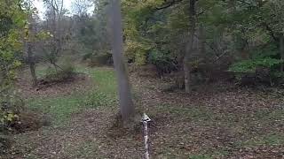 Deer Hunting on the eastern shore in Maryland November 14 2017 [upl. by Analram]