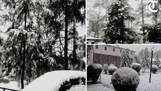 Kasauli Solan Barog Dagshai get season’s first snow [upl. by Rickey88]